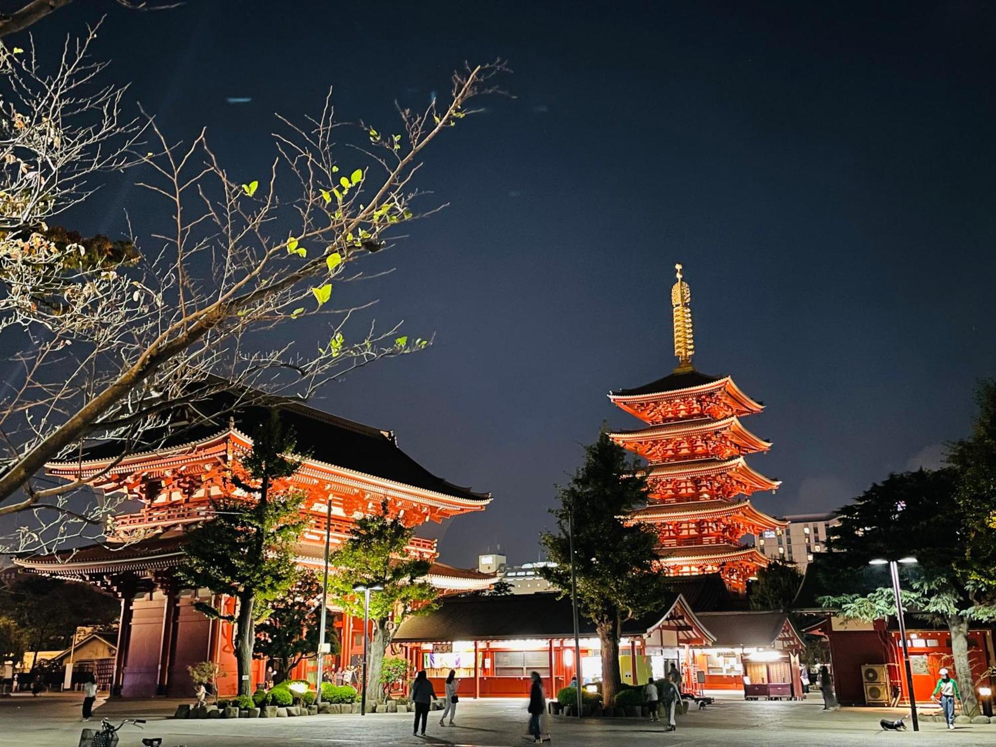 Apartamento 浅草スカイツリービューテラス 浅草寺3分 浅草駅6分 2-10人 成田&羽田空港直通 Tokio Exterior foto